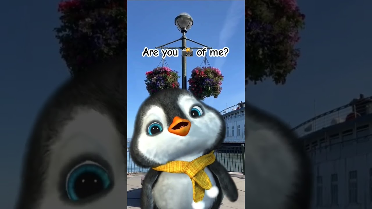 #cute #sofluffy #funny #whatshouldpuffdo #puffpuff #pets #penguin #toocute #memes #stuffie