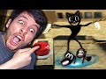 PULSA el BOTÓN y VERÁS que PASA con CARTOON CAT !! - DeGoBooM