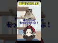【アニメ】猫って毎朝起こしてくる?…#BOOMMENT #はるかっと #meropro #手描き #マイクラ