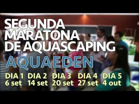 (Dia 2 - Reportagem) Segunda Maratona de Aquascaping da Aquaeden