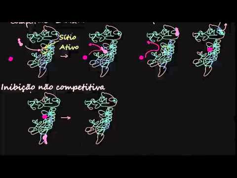 Vídeo: Quando uma molécula inibidora não competitiva se liga a um?