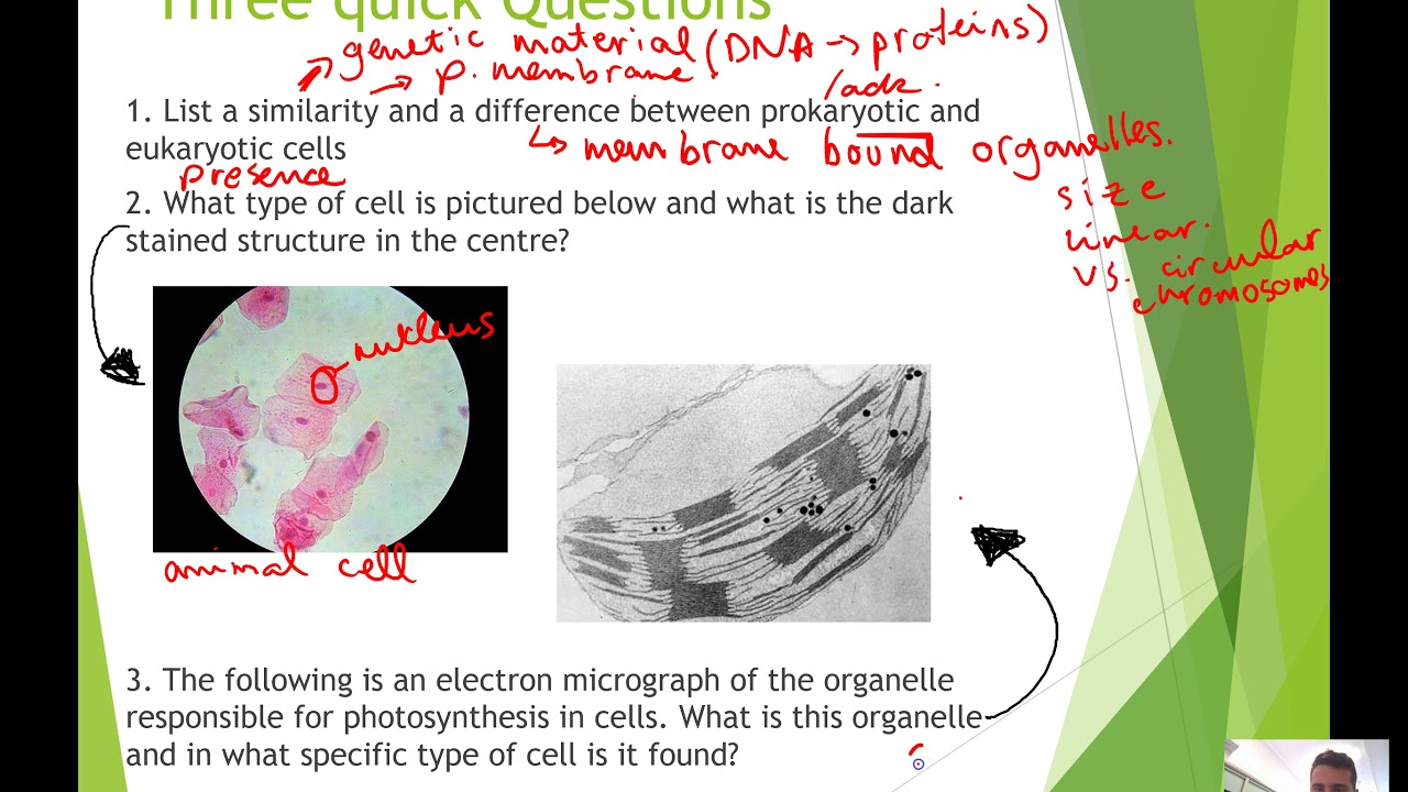 04. Plasma membrane structure and function - YouTube