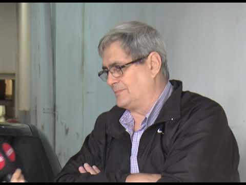 ARBOLES INSERTS vivo y85