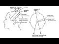 THE ACUPUNCTURIST'S BRAIN MAP: Mastering Head Imaging Techniques in Scalp Acupuncture
