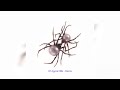 Doja Cat Agora Hills Demo Official Audio 