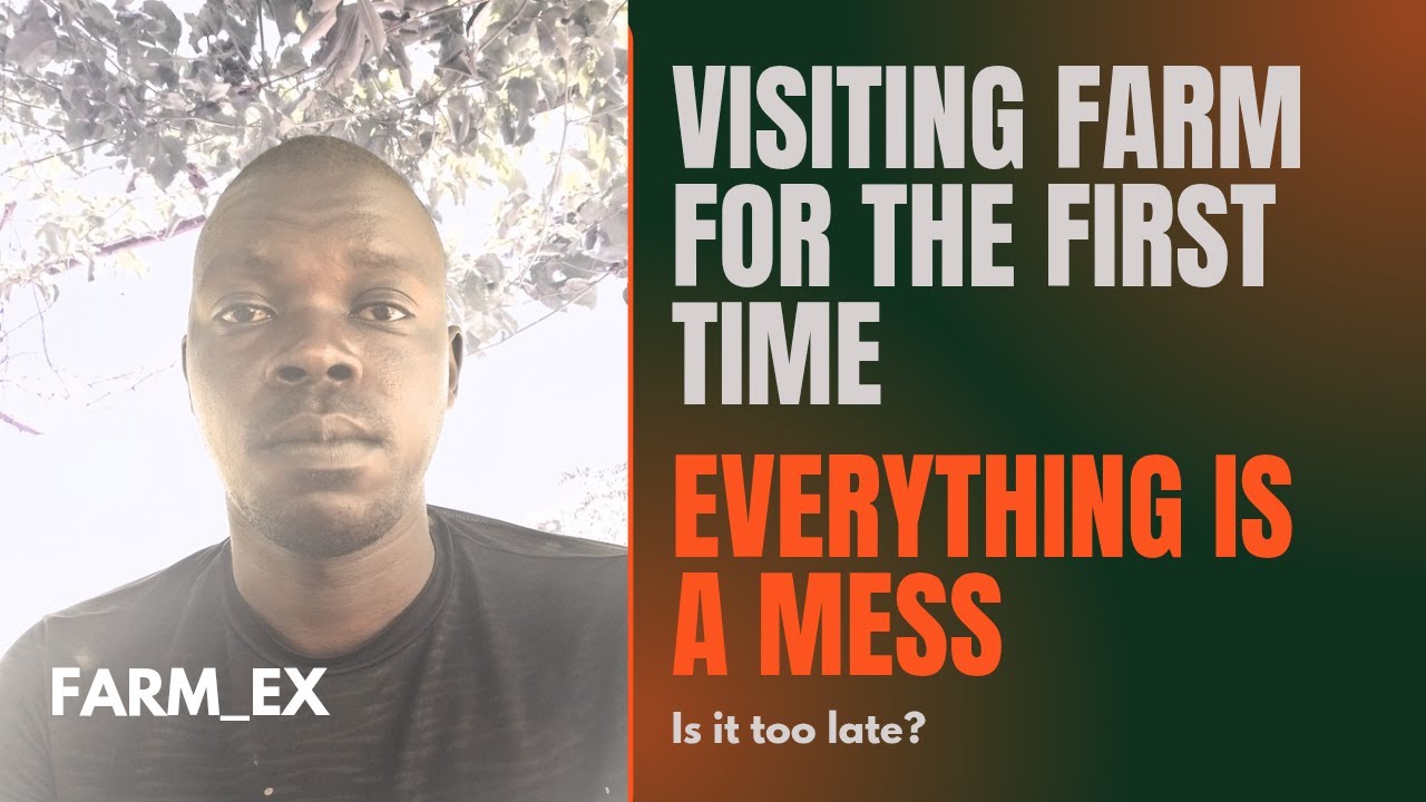 Small farm, Big heart | Poultry, Banana & Passion fruits 