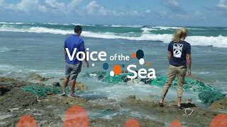 Voice Of The Sea Marine Debris Episode Preview
