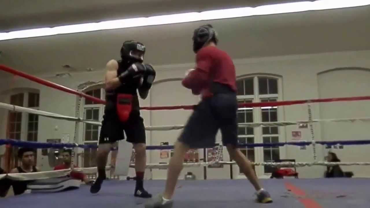Boxing gym workout YouTube
