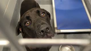 acs A674577