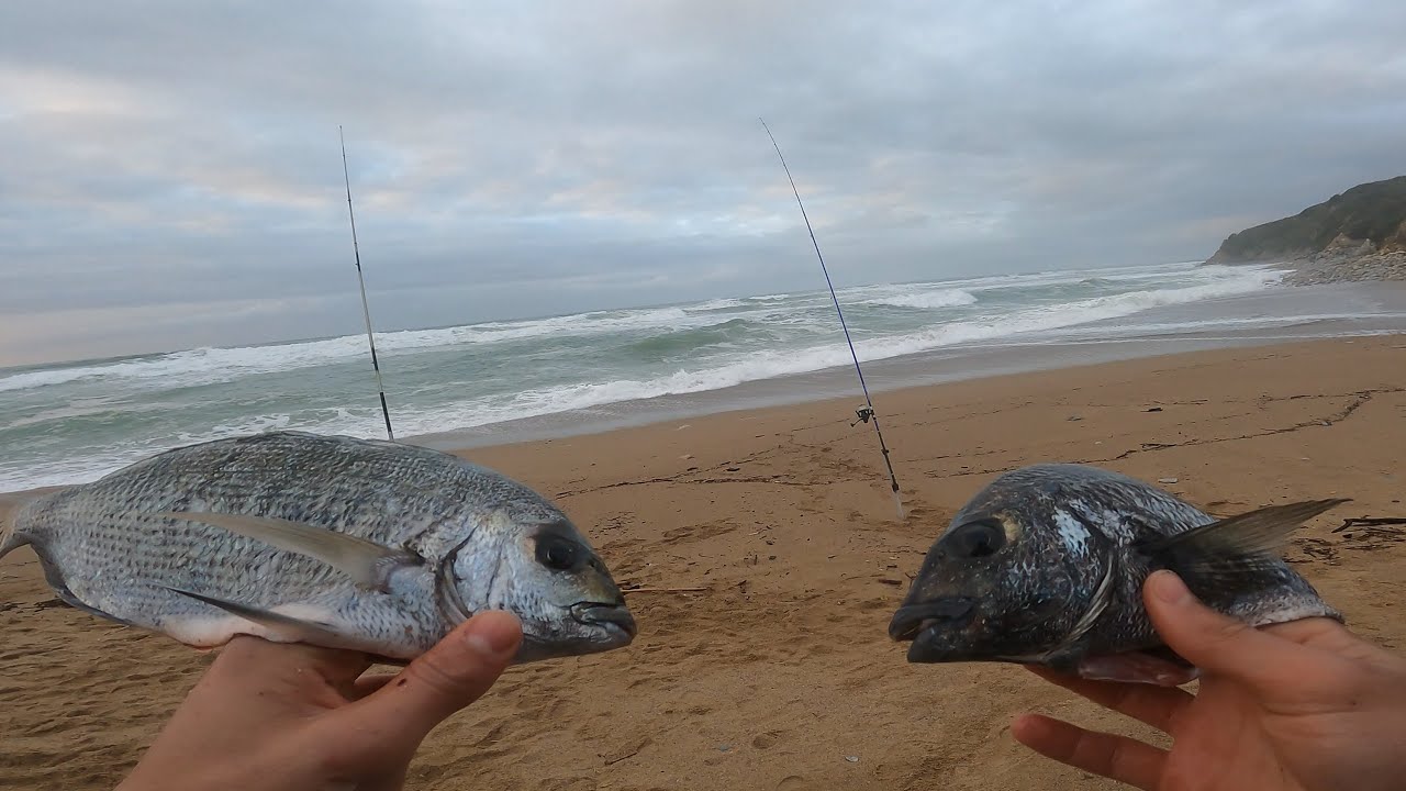 Pêche hivernale en surf casting et au bouchon!