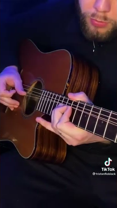 Tristanfloblack Acoustic guitar