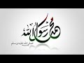 فيا حب فيا وجد في حب رسول الله صلى الله عليه وسلم مصطفى الجمل
