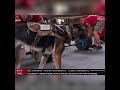 80kg strongman at the Official Strongman Games 2024