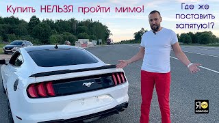 Ford MUSTANG VI - "Купить нельзя пройти мимо!" #яновичок поставит здесь запятую! Форд Мустанг.