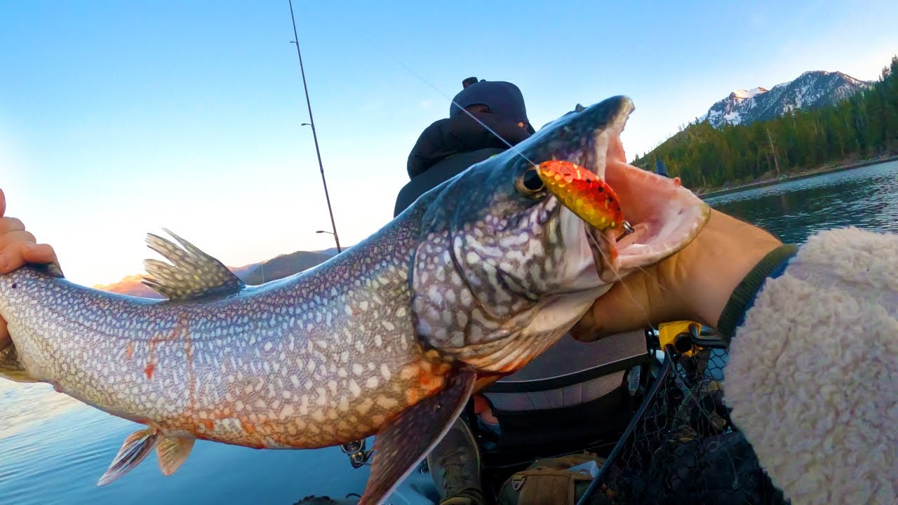 I Almost DIDN’T CATCH This LAKE TROUT! Kayak Fishing for Trout YouTube