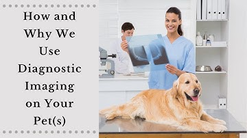 Everything You Need To Know About Diagnostic Imaging