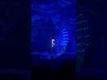 #свято #івент #шоунапраздник #event #шоунасвадьбу #світло #lightshow #pixel #pixelshow #poi