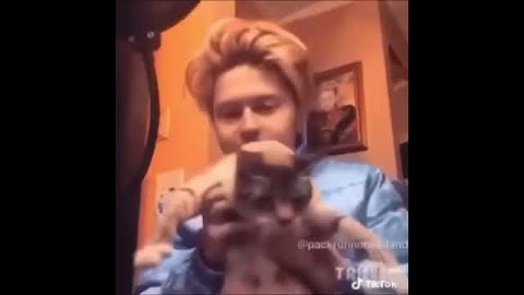 weiland - Trust Nobody (snippet)