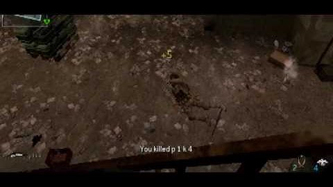 Random cod4 no scope