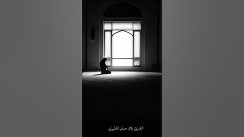 القارئ رائد صقر المطيري #قرآن #تلاوات #تلاوة_خاشعة #القرآن_الكريم #سورة_فصلت