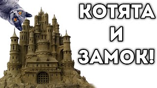 КОТЯТА И ЗАМОК! КОТЯТА И ЗАМОК!