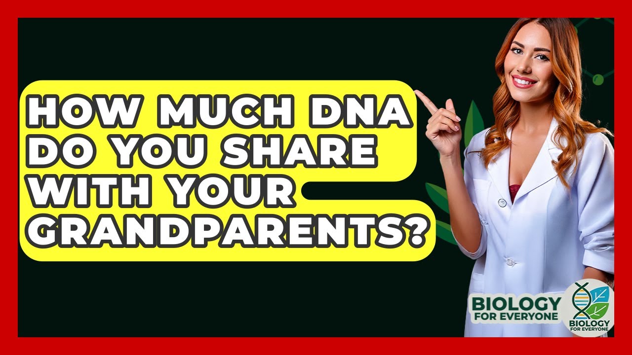 How Much DNA Do You Share With Your Grandparents? - Biology For Everyone