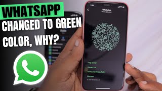 WhatsApp Green Color Texts and Links Changed, Why? screenshot 1