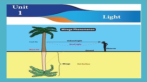 7th Science Term 3 Unit 1 Light Part 1
