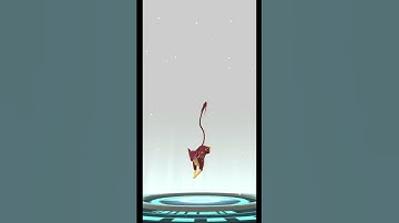 Shiny Purrlion evolves into... #Liepard #pokemon #pokemongo #cat #catvideos #shinyevolution #fyp