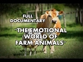 The Emotional World of Farm Animals | Full documentary