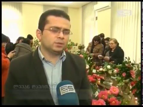 კამელიების გამოფენა ბოტანიკურ ბაღში