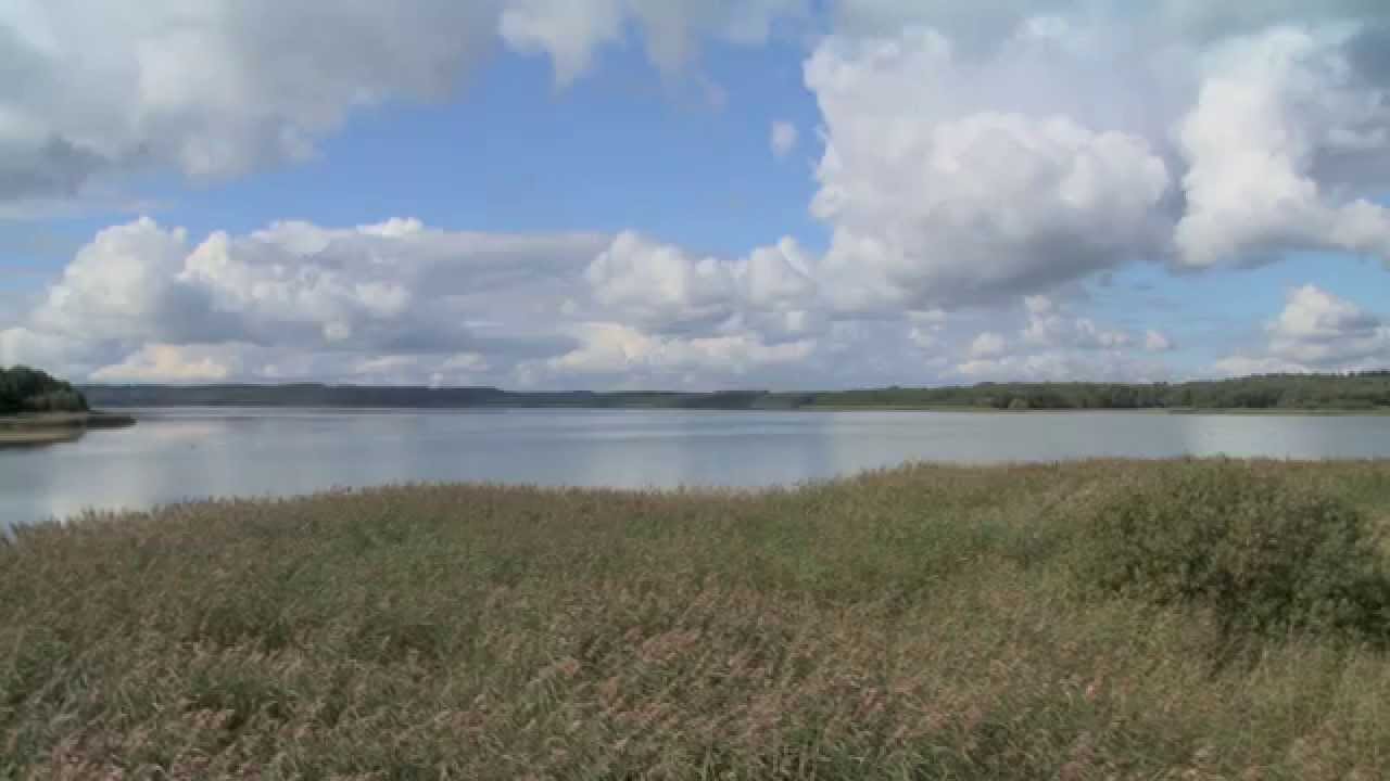 Fugletårnet ved Stubbe Sø - med Morten DD - YouTube