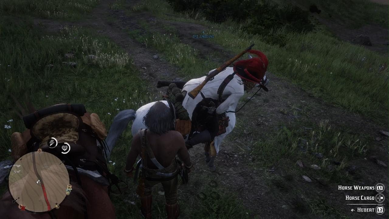 Horsey Rdr2 Funny horsey rdr2 - YouTube