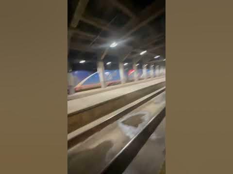 Me foaming over Amtrak #shortsvideo #shortvideo #share #train #shorts # ...