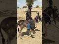 صبي يركب الحمار ويسير في طرقات الصحراء 