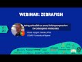 Webinar zebrafish as experimental model for research