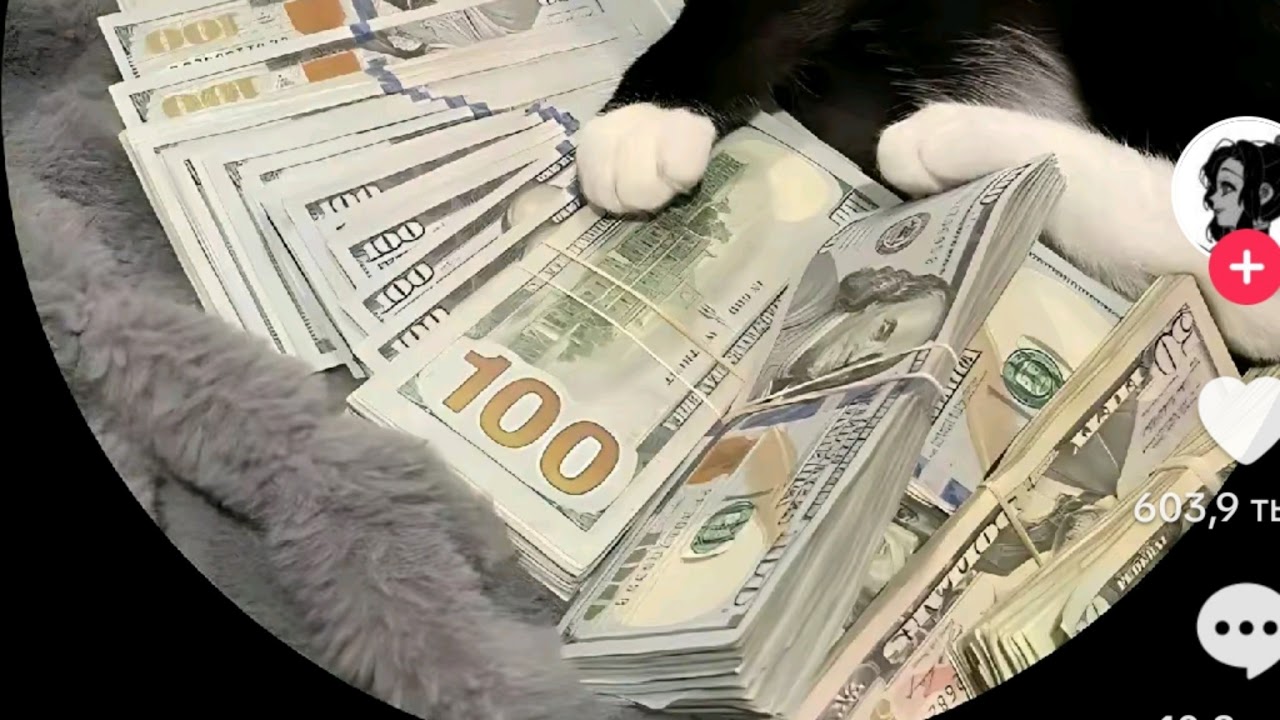 Прямая трансляция son1cezzz_rbx