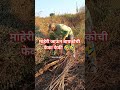 शेतकरी#शेती#shetkari #farming#shorts#farmer #marathi#dialogue#yt #shortviral#vairal#video