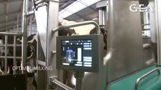 GEA Dairy Farming   Monobox  Highest milk quality