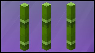 Minecraft Bamboo Where To Find Bamboo In Minecraft?