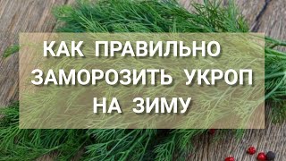 КАК  БЫСТРО И ПРАВИЛЬНО ЗАМОРОЗИТЬ УКРОП НА ЗИМУ, ЧТОБЫ СОХРАНИТЬ ВИТАМИНЫ