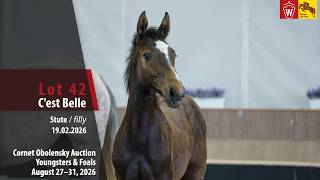 Cornet Obolensky Auction Lot 42 C'est Belle Stute v. Comme il faut NRW - Quidam de Revel