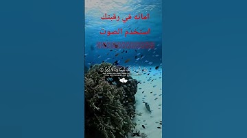 قرآن كريم #shortvideo #اكسبلور #efootball #روبلوكس #لايك #ترند #minecraft #ميسي #احب_متابعيني