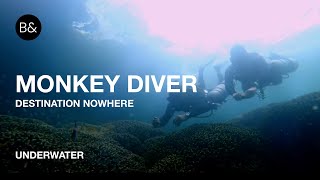 MONKEY DIVERS | Destination Nowhere | @bagusnbirawan