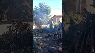 😂 Os Intrusos Apareceram no Meio da Gravação 🐒🔥