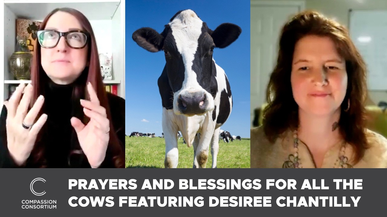 Prayers & Blessings for All the Cows with Desiree Chantilly