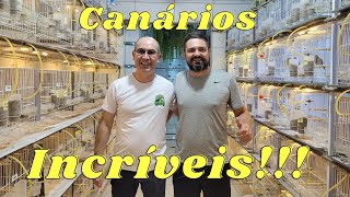 Visitando o Canaril Pinhalzinho de Ricardo Branco!!!