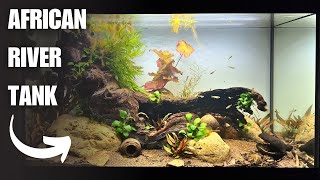 The African River: Step by Step Aquascape for Kribensis Cichlid, Lampeyes & Rare Tetra screenshot 1