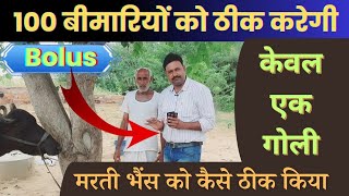 एक गोली का कमल 100 बीमारियों का इलाज Best Bolus Veterinary  snli forte bolus uses in hindi