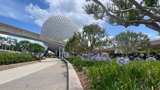 Epcot Sunday (LIVESTREAM)